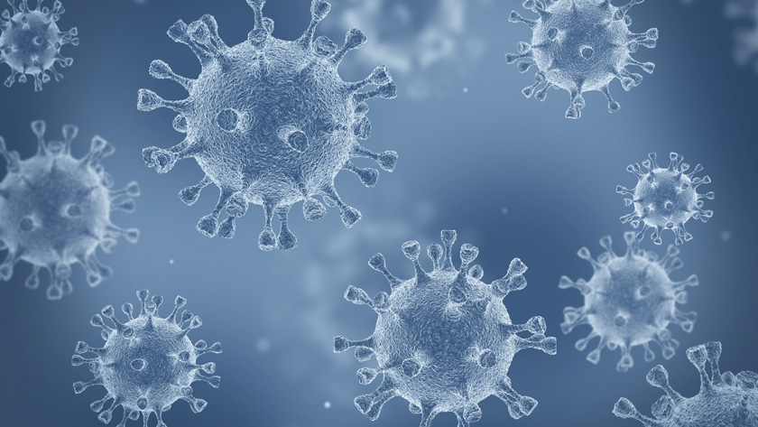 Coronavirus: In turbulenten Zeiten